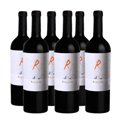 Argentino - Renacer Malbec 2019 (6 Uni.)